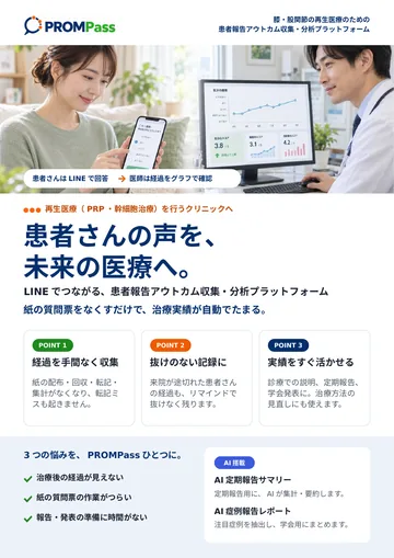 PROMPassのパンフレット（A4）